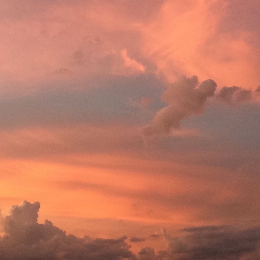 Meet your Posher, Gabriela